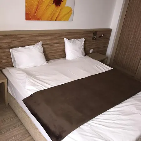 Roomania Vitan